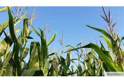 Grundstück zu verkaufen in Lengerich 350.000,00 € 33088 m²