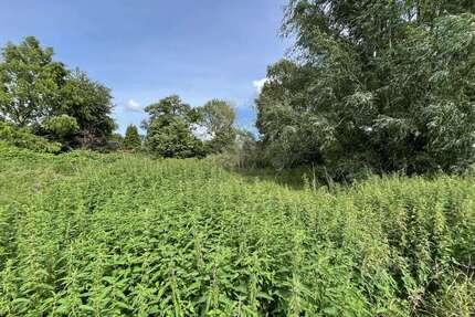 Haus zum Kaufen in Bösdorf OT Kleinmeinsdorf 199.000,00 € 42 m²