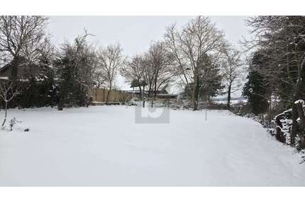 Grundstück zu verkaufen in Buchen (Odenwald) 100.000,00 € 894 m²