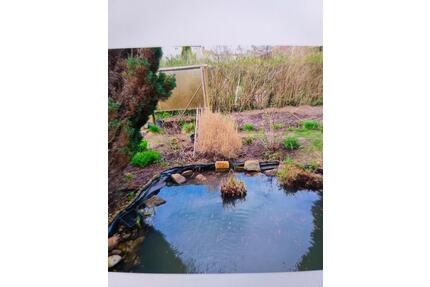 Garten in Peitz - 5.000,00&nbsp;EUR Kaltmiete, ca.&nbsp; 0,00&nbsp;m&sup2; in Peitz (PLZ: 03185)