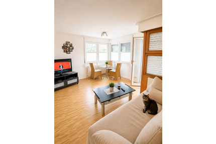 Wohnung zum Kaufen in Ludwigsburg 184.000,00 € 50.77 m²