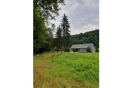 Naturparadies - kernsanierte Doppelhaushälfte in Traumlage, Thermalbad Wiesenbad Erzgebirge