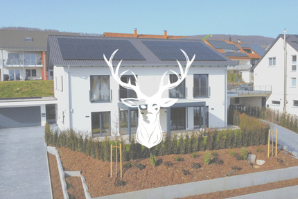 Hochwertige und moderne Doppelhaushälfte A mit nachhaltiger Gebäudetechnik in Tiengen zu verkaufen - Waldshut-Tiengen