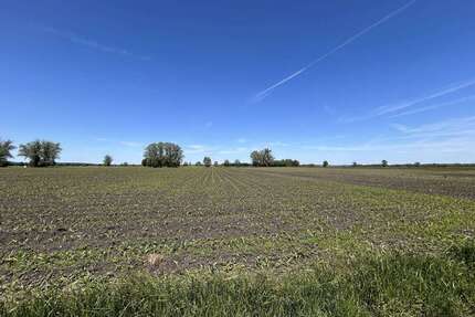 Grundstück in Meitingen 347.000,00 € 52578 m²