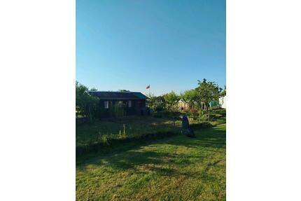 Schrebergarten abzugeben NeuenfeldeFinkenwerder - Hamburg Hamburg-Mitte