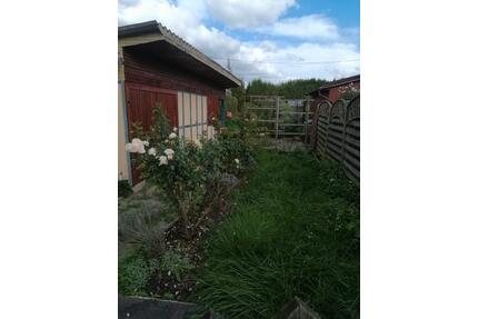 Kleingarten im KGV Köttewitz zu verpachten - Pirna