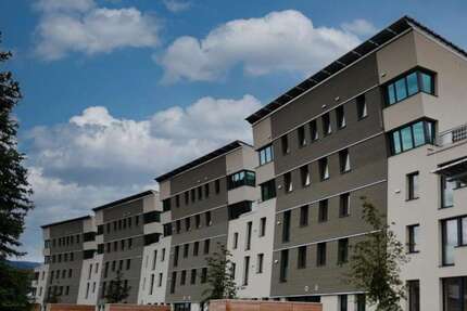 Wohnung zum Mieten in Schallstadt 2.190,00 € 114 m²