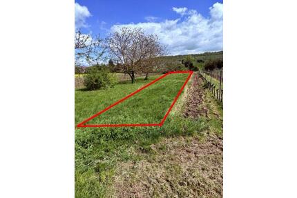 Gartengrundstück am Ortsrand zu verpachten – ca. 380 m² - Gau-Algesheim