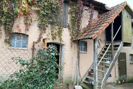 Einfamilienhaus mit Nebengelass in Salomonsborn - Dachwig
