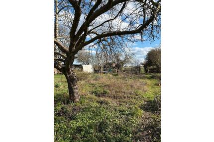 Kleingartenparzelle in Walsrode