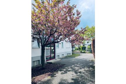 IMMO LOVE Haunstetten- Ab 1.6. bezugsfreie 2 ZKB mit ca 52qm, Balkon, optional TG! - Augsburg Haunstetten-Siebenbrunn