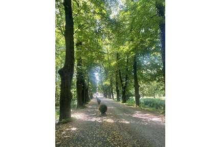 Wohnung zum Kaufen in Bergheim 209.000,00 € 60 m²