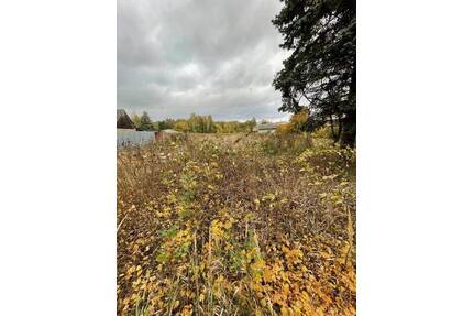 Entwicklungsgrundstück mit B-Plan im Berliner Speckgürtel - Zehdenick