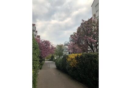 3 Zimmer Wohnung, Schwalbach a.T. - Kriftel