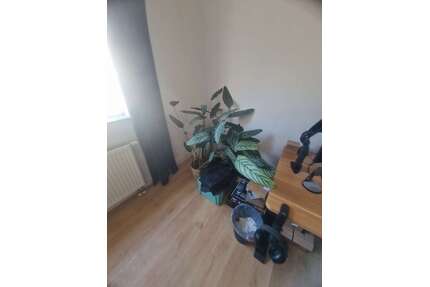 Wohnung zum Mieten in Aachen 417,06 € 25 m²