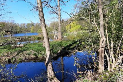 Schöner Praxisraum zur Untermiete HH Volksdorf A-Wulfsdorf - Hamburg Wandsbek