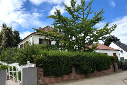 Haus zum Kaufen in Worms Herrnsheim 798.000,00 € 160 m² - Worms / Herrnsheim