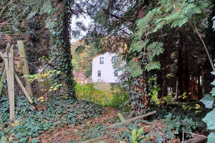 Grundstück zu verkaufen in Dresden 121.900,00 € 530 m²