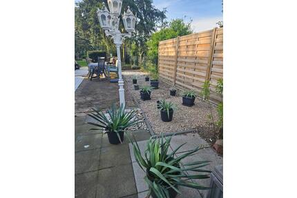 Altbau-Charme trifft Gartenidylle - Dormagen