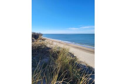 Ferienhaus mit Hund in Zeeland - 700,00&nbsp;EUR Kaltmiete, in Unna (PLZ: 59425) Alte Heide