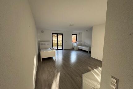 Möblierte 1-Zimmer-Wohnung zu vermieten - Pforzheim Nordstadt