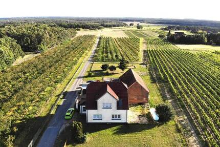 Saniertes EFH mit viel Nebengelass direkt am Weinberg - Jessen (Elster)