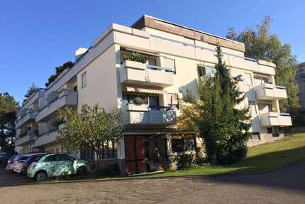Wohnung zum Kaufen in Bad Bergzabern 198.500,00 € 200 m²