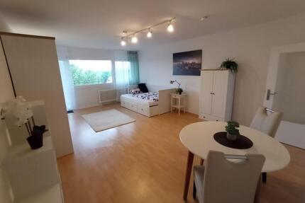 Stilvoll möblierte Wohnung mit 44qm im Herzen von Frankenthal zu vermieten - Frankenthal (Pfalz)