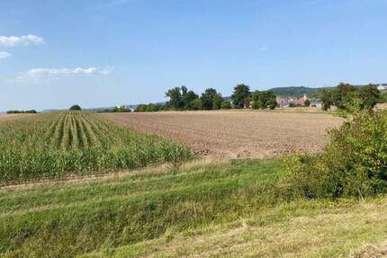 Landwirtschafts- oder Projektfläche - Nähe Gewerbegebiet von Scheinfeld