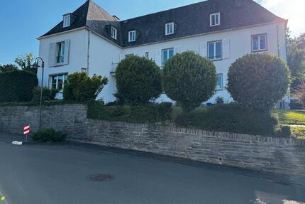 Traumhafte, möblierte Dachgeschosswohnung mit Weinbergblick - Bernkastel-Kues