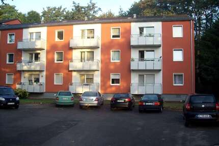 Wohnung zum Mieten in Köln 342,00 € 36 m²