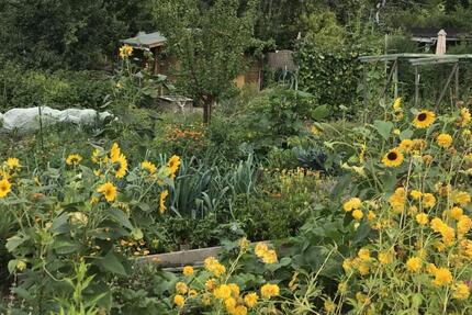 Pachtgarten an den Klausbergen - 2.000,00&nbsp;EUR Kaltmiete, ca.&nbsp; 0,00&nbsp;m&sup2; in Halle (Saale) (PLZ: 06108)