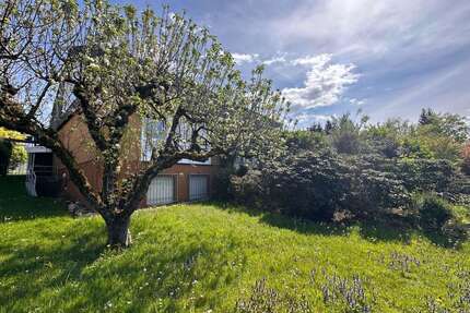 Haus zum Kaufen in Offenburg 550.000,00 € 210 m²