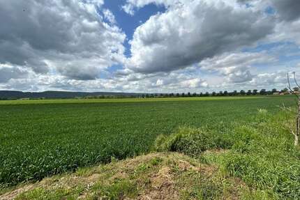 Grundstück zu verkaufen in Holtensen 172.000,00 € 1700 m²