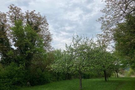 Naturjuwel in Ruhelage: Pacht-Oase in Kraichtal