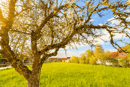 Grundstück zu verkaufen in Spalt 690.000,00 € 4000 m²