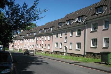 Wohnung zum Mieten in Hagen 359,00 € 44.5 m²