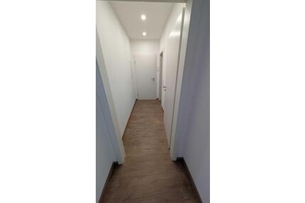 Wohnung zu vermieten mieten nahe Universität Elberfeld - Wuppertal Gemarkung Elberfeld