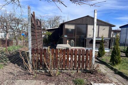 Kleingarten (Pacht) in gepflegter Anlage abzugeben – ca. 290 m² - Frankfurt (Oder)