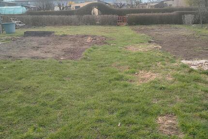 Pacht- Gartengrundstück - 500,00&nbsp;EUR Kaltmiete, ca.&nbsp; 0,00&nbsp;m&sup2; in Bad Freienwalde (Oder) (PLZ: 16259)