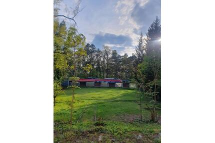 2,5 Zi. Whg. mit Terrasse und Garten, möbliert in 90453 Nürnberg