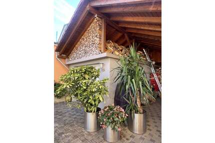 Haus zum Kaufen in Clausen 289.000,00 € 150 m²