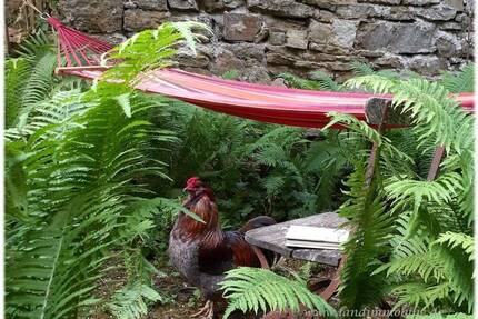 Schöner Wohnen und Leben im historischen Brauhaus an der Wörnitz - Weiltingen