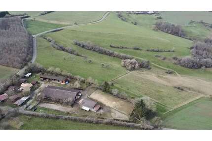 Haus zum Kaufen in Kirrweiler 795.000,00 € 277 m²