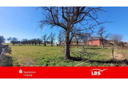 Wohnen und Natur - die perfekte Kombi - Frohburg