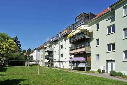 Wohnung zum Mieten in Dresden 360,00 € 43 m²