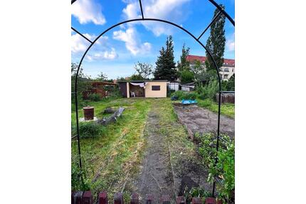 Sommer 26 im eigenen Garten in 01127? - Dresden