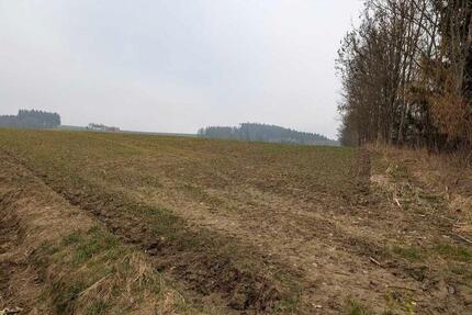 Ackerland, landw. Nutzfläche - 22,00&nbsp;EUR Kaltmiete, ca.&nbsp; 0,00&nbsp;m&sup2; in Dorfen (PLZ: 84405)