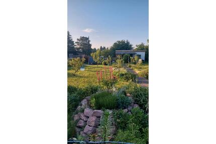 Garten Pachtgarten groß - 2.900,00&nbsp;EUR Kaltmiete, ca.&nbsp; 0,00&nbsp;m&sup2; in Kabelsketal (PLZ: 06184)