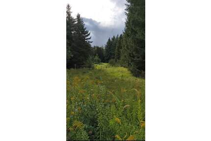 Schönes Baugrundstück in ruhiger Privatstraße - Sackgasse am Teltower Park